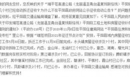 平阳最新爆料,揭秘事件背后惊人真相