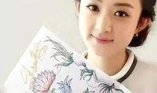 刘丽爆料赵丽颖视频,视频曝光惊人内幕